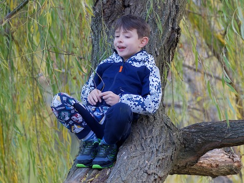 Boy in tree